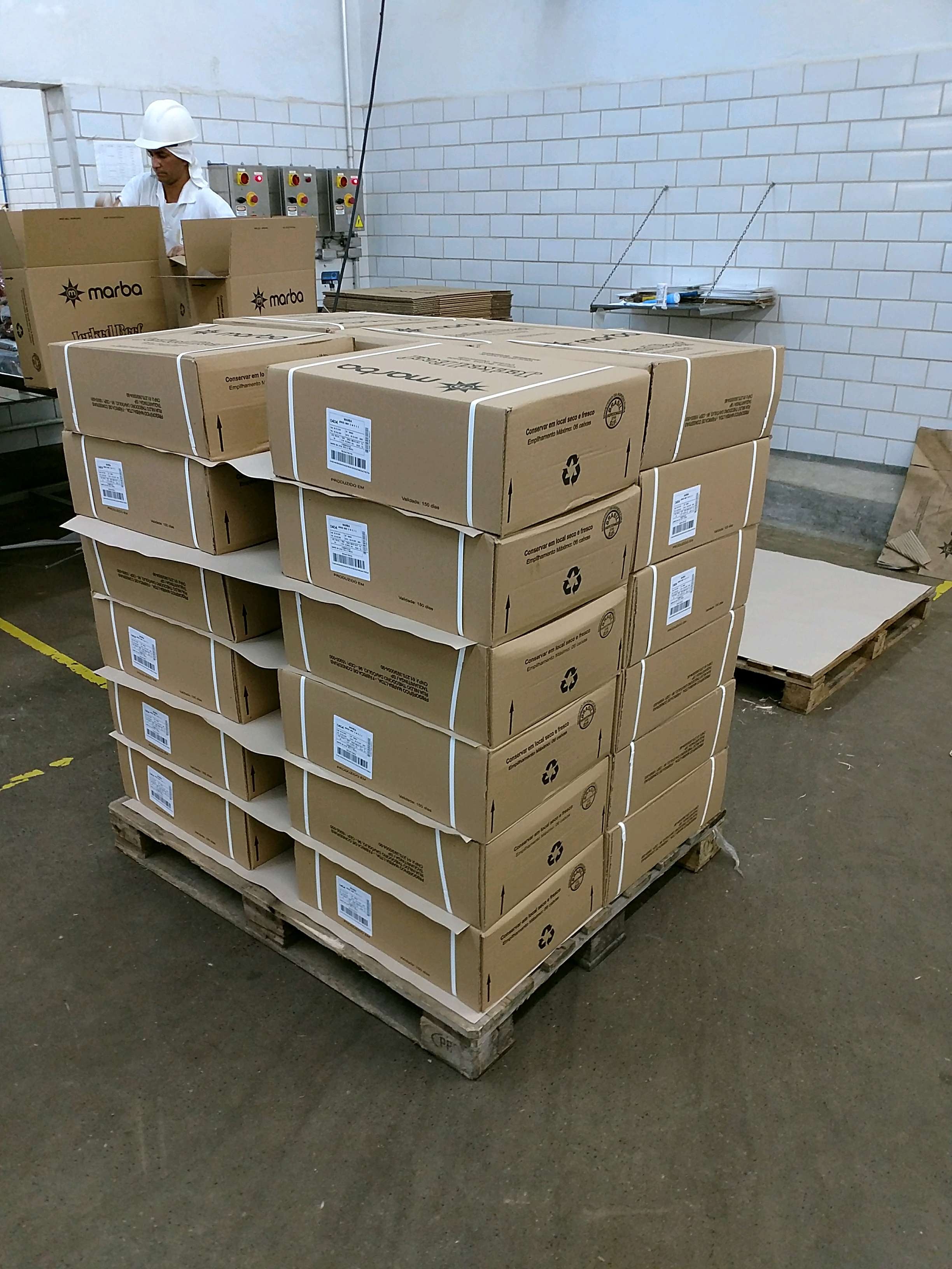 Equilibrio de palete Beagi