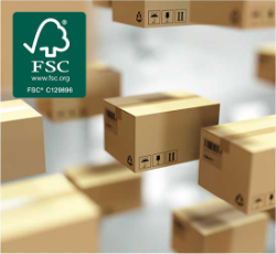 Embalagens Papelão FSC Beagi